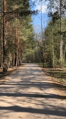 Forest road documented in Chaikovsky, Russia