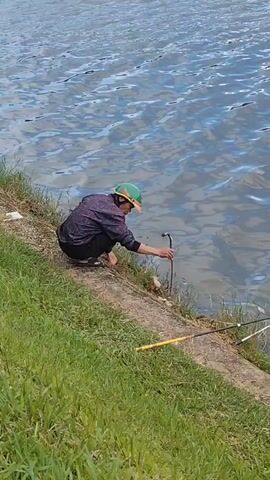 A person wearing a green helmet and a dark patterned shirt crouches on a grassy bank next to a body of water. The person is holding a thin, dark, curved tool and appears to be interacting with something near the water's edge. Two fishing rods are visible in the foreground, with their tips resting on the bank. The water is rippled, suggesting a gentle breeze or current. The environment is outdoors, with green grass covering the bank and the water stretching into the distance.