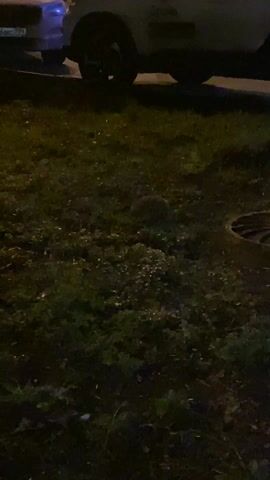 The video shows a dark grassy area with a hedgehog in the center. The hedgehog is round and blends into the ground. The lighting is poor, and the scene is grainy. The back end of two vehicles is visible at the top of the frame. A manhole cover is visible to the right. No people are visible. The hedgehog is still.