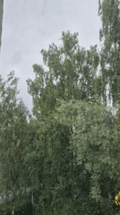 School celebration with dancing and interviews in Chaikovsky, Russia