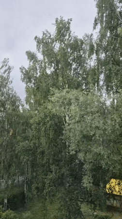 School celebration with dancing and interviews in Chaikovsky, Russia
