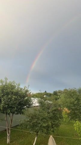 A rainbow arcs across a gray, cloudy sky over a rural landscape. The foreground is filled with lush green trees. In the middle ground, several houses with white roofs and some scattered trees can be seen on a gentle hill. The ground is covered in green grass, and some white plastic bags are visible in the bottom right corner of the frame.