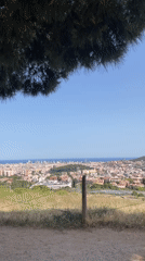 Barcelona panoramas from a Collserola hillside on a clear summer afternoon