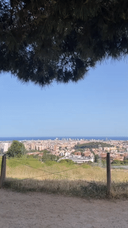 Barcelona panoramas from a Collserola hillside on a clear summer afternoon