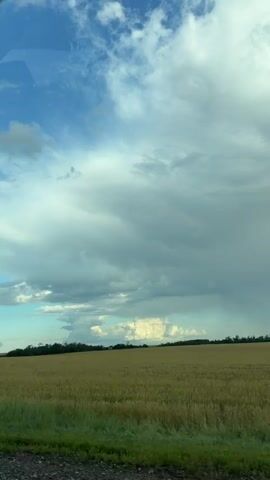 A wide shot of a golden field under a cloudy sky. The field is mostly empty, with a line of trees visible in the distance. The sky is a mix of blue and white clouds, with some darker clouds suggesting impending rain. The video is still, with no movement detected.
