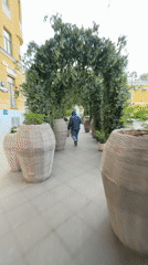 Moscow residents document decorated walkways and historic churches downtown