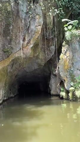 A person is traveling in a boat through a cave entrance. The cave is dark and narrow, with water flowing through it. The rocks in the cave are wet and mossy. Vines hang from the ceiling of the cave. The water is calm and reflects the light from the cave entrance. The boat is moving slowly, and the person is looking into the cave.