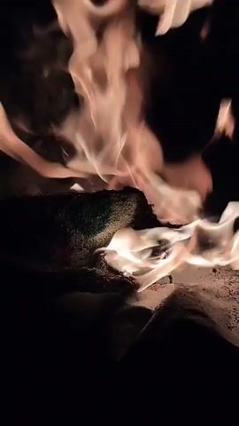 A close-up shot shows logs burning in a dark environment. Flames of various sizes and intensity engulf the logs, with bright orange and yellow hues dominating the scene. Embers glow beneath the flames, and smoke is visible, though subtle. The background is completely black, emphasizing the fire as the sole source of light and focus. The footage is brief, capturing the dynamic movement and heat of the fire.