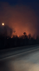 Forest fire observed burning near Novodomikan, Russia