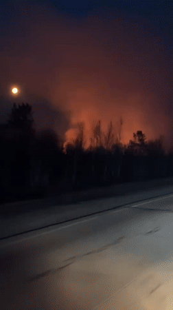 Forest fire observed burning near Novodomikan, Russia