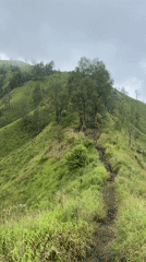 Mountain path documented in Kintamani's green landscape