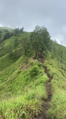 Mountain path documented in Kintamani's green landscape