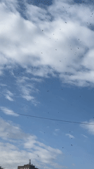 Early morning scenes captured across Yerevan residential areas