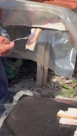 A close-up shot shows an elderly person's hands using a fork to place strips of raw pork belly onto a large, flat, cast-iron griddle. The griddle is hot and appears to be placed outdoors on some sort of makeshift stand. Steam rises from the griddle as the pork begins to cook. Several strips of pork belly are already arranged in a line on the griddle. The background shows an outdoor, somewhat rustic environment with dirt, rocks, and some greenery, suggesting the cooking is happening in a yard or garden. A clear plastic sheet is draped over a wooden structure in the background.