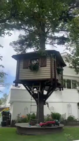 Here is a concise description of the video:

The video features a detailed shot of a well-constructed treehouse. It is perched high on a thick tree trunk, with a ladder leading up to the entrance. The treehouse has a rustic design, with wooden walls, shutters, and flower boxes. The surrounding environment includes lush green trees and a neatly landscaped garden. In the background, a white house is visible, suggesting the treehouse is part of a private residence. The overall scene creates a whimsical and charming atmosphere.
