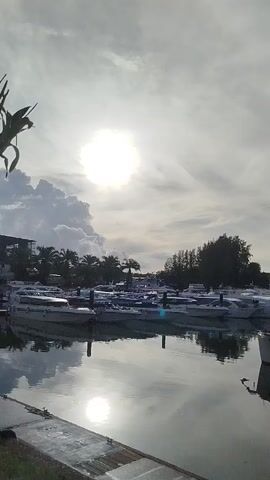 The video shows a marina with numerous white boats docked on a body of water. The sun is shining brightly in a cloudy sky, and its reflection is visible on the water's surface. Palm trees and other foliage are present on the shore behind the boats. The water is calm, with gentle ripples. The scene appears to be a bright, possibly sunny day.