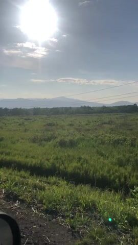 The video shows a bright sun in a partly cloudy sky over a green field with some trees and mountains in the distance. There is a telephone pole in the field. The view appears to be from a vehicle.