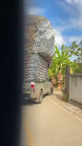 The video shows a light-colored pickup truck overloaded with what appears to be large quantities of garlic. The garlic is packed in what seems to be a wire frame extending high above the truck's bed and covered with tarps. The truck is parked on a paved road next to a low wall or fence, with green vegetation visible behind the wall. A spare tire is mounted on the back of the loaded frame. The license plate is partially obscured, but the numbers 5945 are visible.