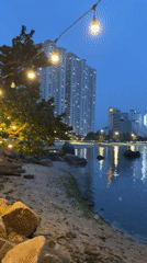 Couple takes selfies at Nha Trang waterfront amid city skyline