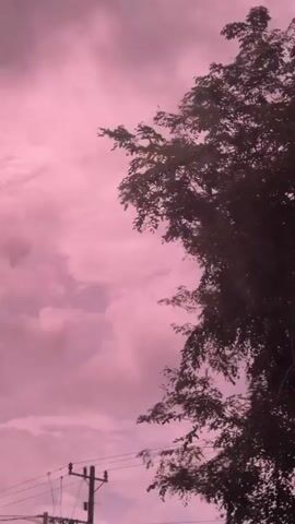This media file captures a serene outdoor scene, likely during sunset, given the warm, pinkish hue of the sky and clouds. The sky is predominantly filled with soft, diffused clouds tinged with pink, suggesting a beautiful twilight or sunrise.

Prominently featured is a large tree with dense foliage, its dark silhouette stark against the vibrant sky. The branches of the tree are intricate and spread widely, indicating it's a mature specimen. In the lower part of the frame, a utility pole with wires is visible, hinting at a residential or semi-urban environment. There are also glimpses of palm trees and other vegetation, as well as some buildings, including one with text that appears to be in Indonesian.

The overall mood is peaceful and tranquil, with the soft colors and natural elements creating a calming atmosphere. The lack of people suggests a moment of quiet observation or a general scenic view. The camera appears to be moving, possibly from a vehicle, as evidenced by the slight blur and changing perspectives of the tree and surroundings, especially in the initial frames. The scene is set in Cotmalem, Indonesia, which aligns with the presence of tropical vegetation like palm trees. No specific event is clearly depicted; rather, it's a visual record of a beautiful natural moment in a specific location.
