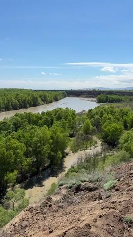 The video presents a landscape view of a river and surrounding greenery under a partly cloudy sky. The camera, positioned on an elevated dirt bank, looks out over the scene. Below the camera, a small, muddy tributary flows toward the larger river. Lush green trees line both sides of the wide, muddy river, creating a dense forest. The sky is a clear blue with sparse, wispy white clouds. The perspective is wide, capturing the expanse of the river and the continuous line of trees extending into the distance. There is no visible human presence or activity in the video.