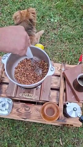 A person's hand is seen holding a white utensil and stirring coffee beans in a pot outdoors. To the left of the pot, a dog lies on the grass. In the background, a yellow propane canister is visible. To the right of the pot, there is a wooden table with a book, a cezve (Turkish coffee pot) with coffee, and a moka pot. A small cup is also present on the table. The ground is covered in grass and some small yellow flowers. Further in the background, a green bush is seen. Beyond the bush, a girl is running across a paved path in a grassy area. In the distance, a helicopter and a large statue of a head are visible.