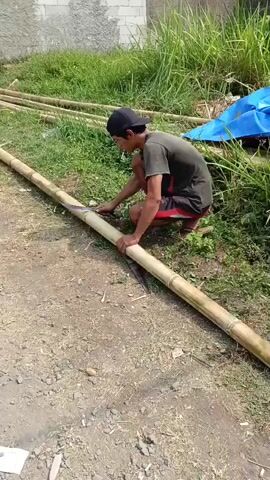 A person is kneeling on the ground next to a long bamboo pole. They are wearing a dark t-shirt, red shorts, and a black cap. The person is holding a long knife and appears to be sharpening or cutting the bamboo. The bamboo pole is lying on the ground in a dirt and grassy area. There are other bamboo poles in the background, as well as a blue tarp and a brick wall. The scene appears to be outdoors in daylight.