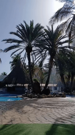 Man filmed singing at Venezuelan resort amid tropical scenery