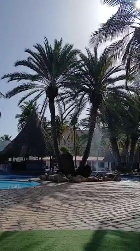 Man filmed singing at Venezuelan resort amid tropical scenery