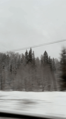 Snow-covered landscape captured from moving vehicle in Garevaya, Russia