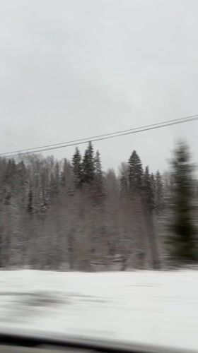 Snow-covered landscape captured from moving vehicle in Garevaya, Russia