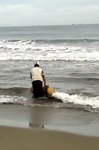 Indonesian fisherman works beach with baskets, nets near traditional boat