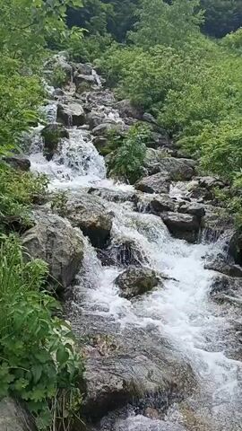 The video shows a natural scene of a small waterfall flowing over rocks and greenery. The water is clear and turbulent as it cascades down a rocky incline. Lush green foliage, including trees and bushes, surrounds the waterfall, creating a vibrant and natural environment. The camera is positioned to capture the movement of the water and the surrounding landscape. There are no people or man-made objects visible in the video. The overall impression is one of natural beauty and tranquility.