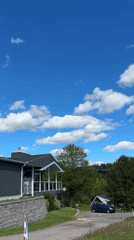 Birds spotted over Parry Sound residential area from moving vehicle