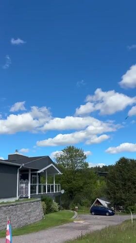 Birds spotted over Parry Sound residential area from moving vehicle