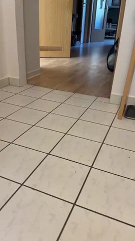 A person's hand holding a can of cat food is in the foreground of the video. The can is purple and features a picture of a cat. A black cat approaches the can, sniffing it and rubbing against it. The background shows a tiled floor and a doorway leading to another room. The video appears to be filmed indoors, possibly in a home or apartment.
