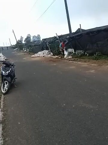 A person is seen standing near a roadside stall, which is covered by black tarps. The person is wearing a red shirt and blue pants and appears to be sorting through items. A motorcycle is parked on the left side of the road. In the background, there are more stalls and trees. The road is paved and appears to be in a rural area. The sky is overcast.
