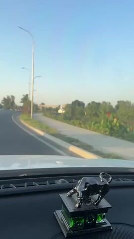 The video shows a view from inside a car, looking out the windshield. On the dashboard, a metallic bull figurine sits on a base that glows green. The car is driving on a road with a sidewalk to the right, lined with trees and bushes. Streetlights are visible along the road. The sky is clear and blue, suggesting daytime. The road curves to the left. In the distance, there are buildings and more trees. There are a few other vehicles on the road in the distance.