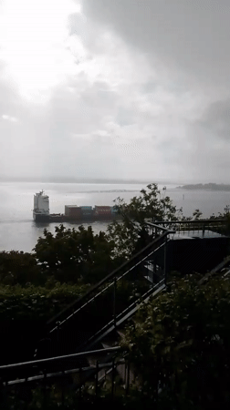 Container ships transit the Elbe River in Hamburg
