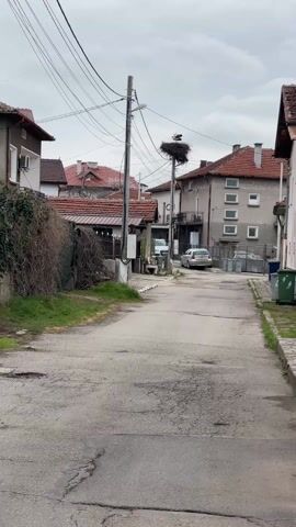 The video shows a narrow street in a residential area with houses with red-tiled roofs on either side. An electricity pole stands prominently in the middle of the street, topped by a large stork's nest. Two storks are visible in the nest, and one of them is making a distinctive clattering sound with its beak. The sky is overcast and grey. The street is paved, but there are visible cracks and patches. Cars are parked along the side of the street. The scene gives the impression of a quiet, possibly rural or suburban setting.