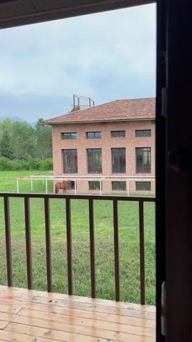 A brown horse stands in a grassy field in front of a brick building with large windows. The building is set against a backdrop of trees and mountains under a cloudy sky. The view is framed by a wooden porch railing.