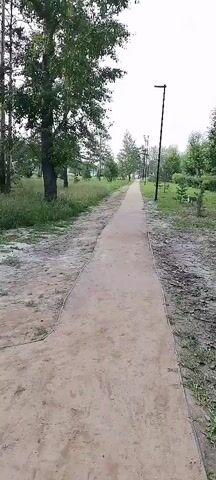 A POV video pans right along a sandy path in a park. Trees and green bushes line the path. Streetlights are visible in the distance. The sky is overcast.