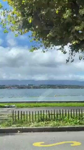 The view from a moving vehicle shows a bright day with fluffy clouds over a calm, blue body of water, possibly a lake or sea, with a distant shoreline. Green grass and trees line the edge of the water, separated by a white concrete barrier. The camera appears to be inside a car or bus, capturing the scenery as it passes by. The motion is fast, blurring the foreground vegetation, while the distant water and sky are clearer.