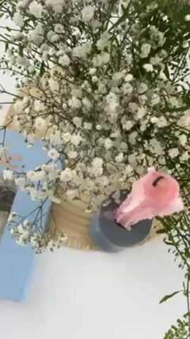 The video shows a table setting featuring a light blue book titled "Joie," a small gray vase filled with baby's breath flowers, and a pink candle in a gray candleholder. The arrangement sits on a woven placemat. The camera slowly pans to reveal the entire setting, showing the book's cover, which reads "A Parisian's guide to celebrating the good life." The overall aesthetic is soft and light.