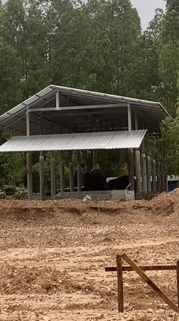 Metal-roofed shelter observed at Choeng Thale construction site