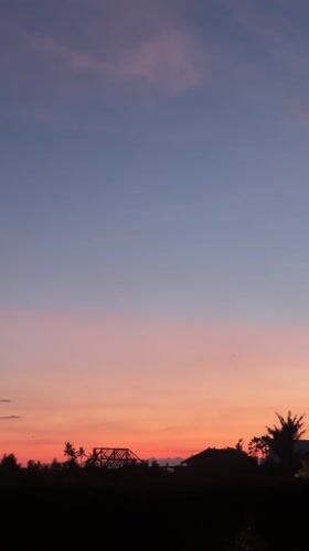 Sunset and cat observed in Mengwi, Indonesia
