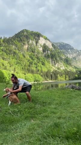 A man in a grey t-shirt, black shorts, and Vans sneakers performs a backflip on a grassy area near a lake. He has long hair pulled into a bun. A brown and white dog with a bandanna sits nearby. The background includes mountains, trees, and a cloudy sky.  After landing, the man runs and laughs.