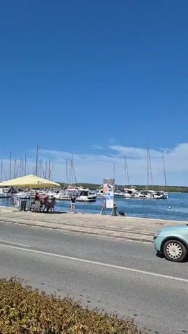 This is a vertical, stationary video taken from a roadside. The video shows a marina with boats docked in the water under a clear blue sky. The camera is positioned slightly above the road, and the road takes up the bottom portion of the frame, with dry brush and some vegetation at the very bottom. To the left of the frame, there's a hint of a building with an umbrella and people seated at tables, suggesting an outdoor cafe or restaurant. The marina itself has several sailboats and smaller motorboats moored. There's a stone walkway or pier separating the road from the water. A light blue car drives by from left to right in the foreground. Further in the video, a darker colored sedan drives by in the same direction. The water appears calm, and there are distant trees on the horizon.