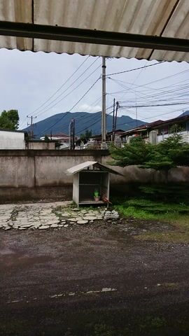 The video displays an outdoor scene, filmed in portrait orientation and then rotated 90 degrees clockwise. The view begins with the underside of a corrugated roof structure visible in the foreground on the left. A concrete wall runs horizontally across the middle ground, separating the foreground from the background. To the right of the wall is a paved, mossy ground surface.

In the initial frame, beyond the concrete wall, a distant mountain range is prominent under an overcast sky. A utility pole with overhead wires and a small, green, shed-like structure are also visible.

As the camera slowly pans to the right, the mountain recedes from view. Various types of trees, including evergreens and other foliage, become more prominent beyond the wall. Further in the distance, a white building with a red roof and several communication towers can be seen through the trees. The pan concludes with a scene dominated by the greenery, the concrete wall, and the paved ground. The time of day is daytime, under an overcast sky. No people or visible text are present.