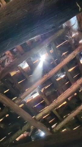 The video shows a low-angle view of the interior of an old, dilapidated wooden roof. The structure is made of intersecting wooden beams, with gaps and holes visible. Sunlight shines through these openings, creating bright flares and streaks of light. Cobwebs are visible in some corners. The overall tone is dark and rustic, with a focus on the interplay of light and shadow within the aged structure. In the audio, dog barking is audible.